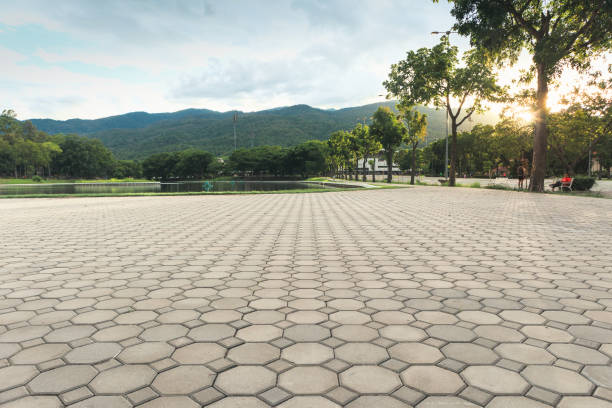 Best Driveway Pavers Near Me  in Buckhall, VA